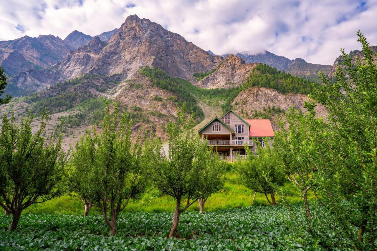 Zostel Homes Rashil Tandi Ngoại thất bức ảnh