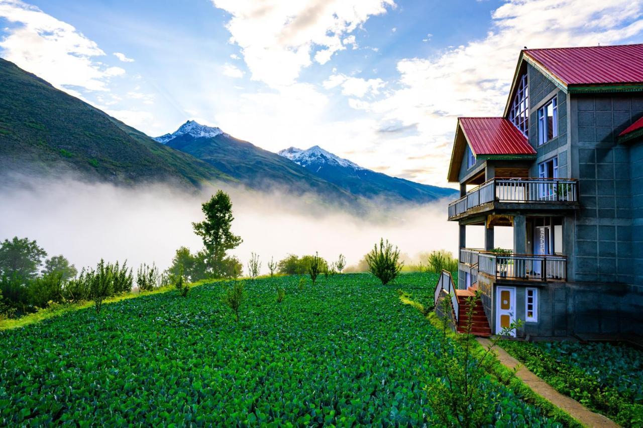 Zostel Homes Rashil Tandi Ngoại thất bức ảnh